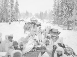 Guerre d'Hiver - 1939 - Finlande - Kiantajarvi - SA-kuva